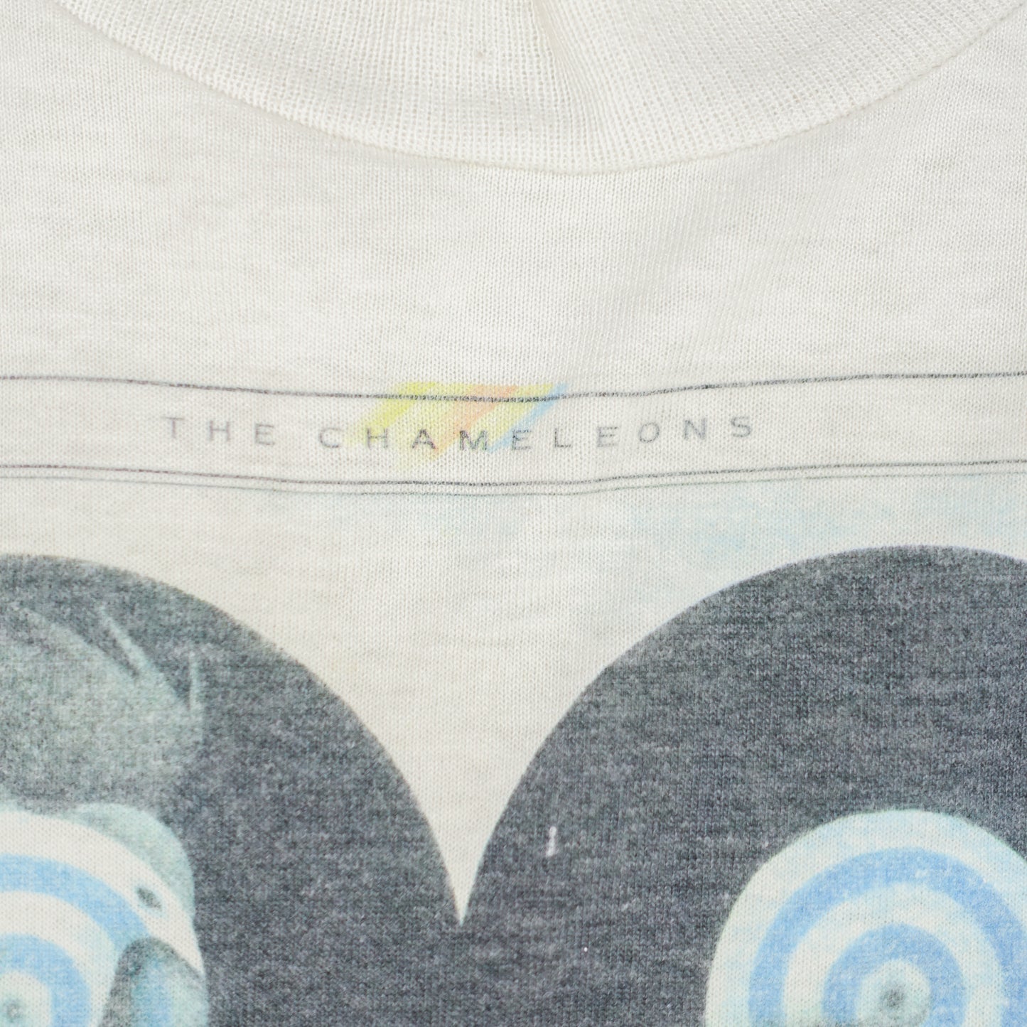 THE CHAMELEONS WHAT DOES ANYTHING MEAN? BASICALLY T-SHIRT