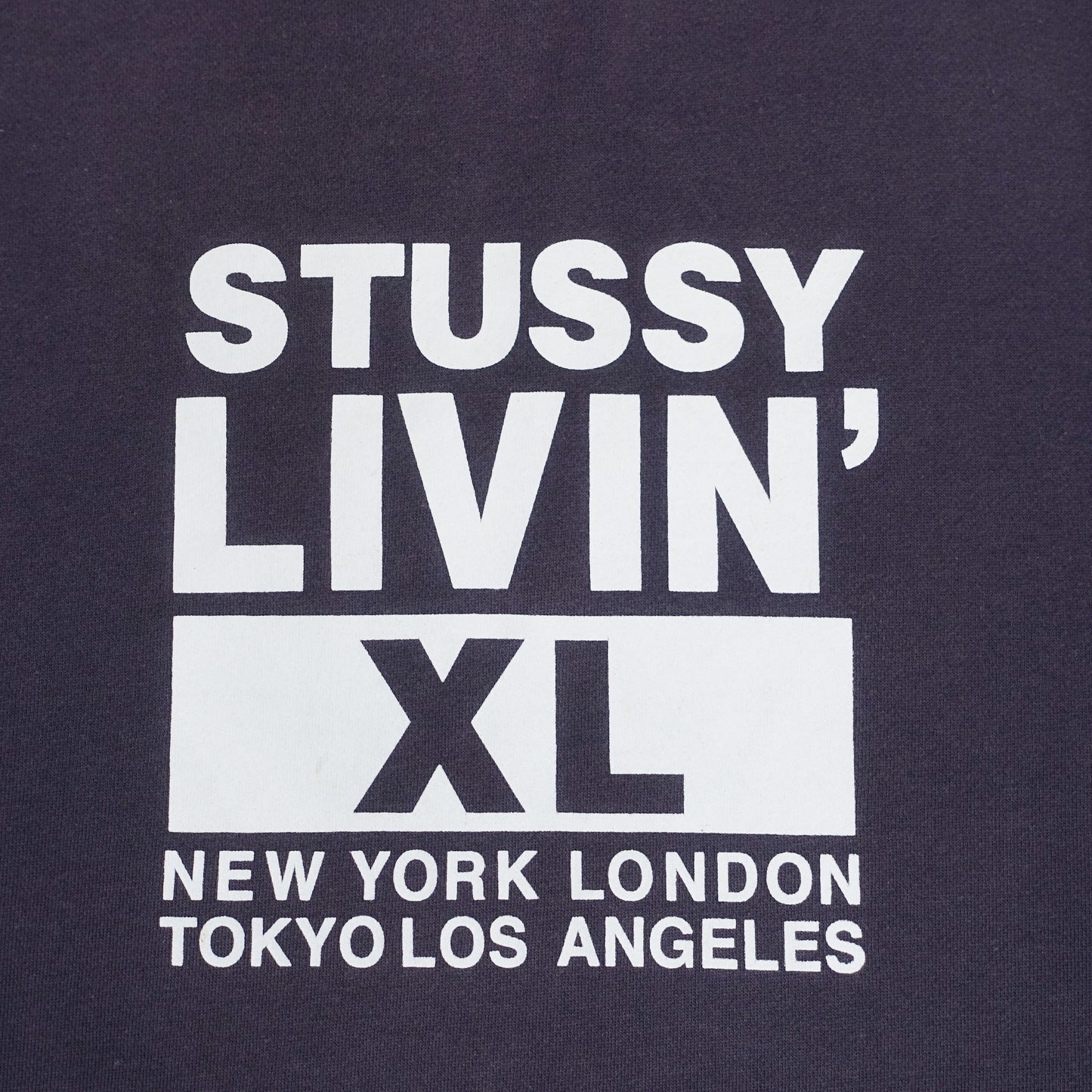 STUSSY LIVIN' HOODIE